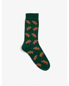 Chaussettes homme coton khaki t