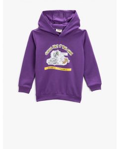 Sweat à capuche imprimé sous licence tom and jerry AUBERGINE 5-6
