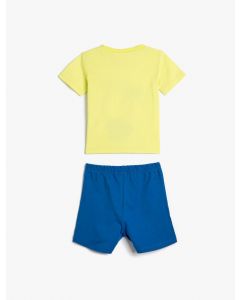 ENSEMBLES GREEN 184