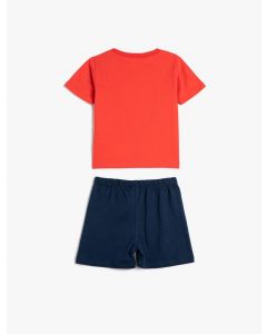  ENSEMBLES ROSE 184