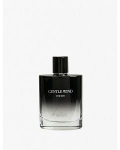  PARFUM M BLACK T